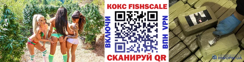 Cocaine Fish Scale  где продают   Артёмовск 