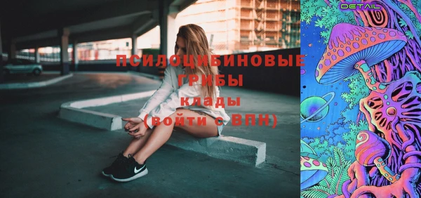 бошки Аркадак