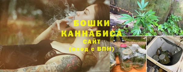 сатива Армянск