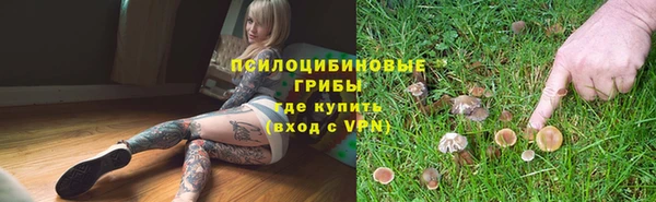 сатива Армянск